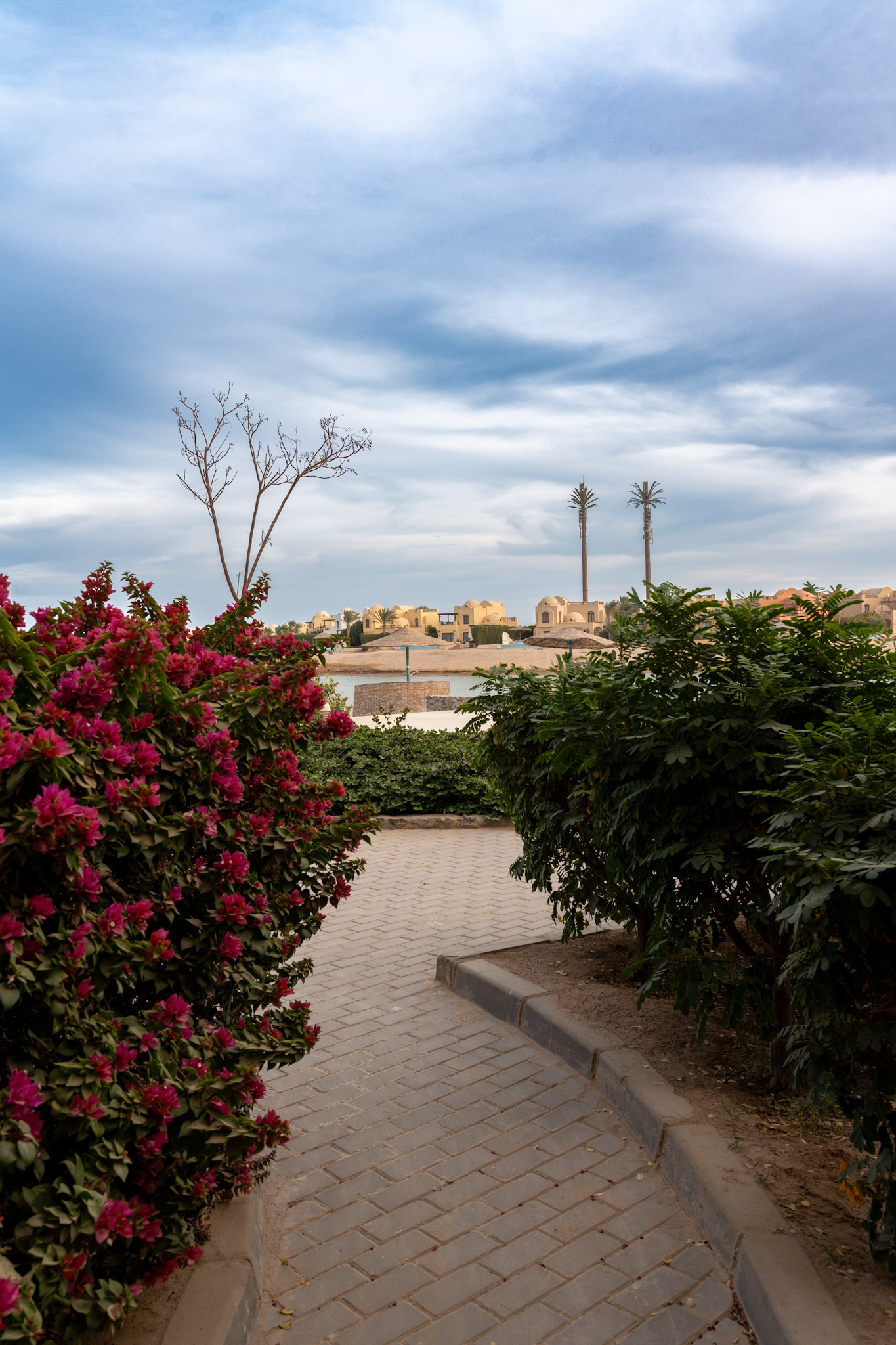 1BR CanalView Sabina El Gouna — photo 4