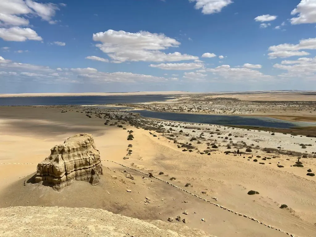 Fayoum Oasis Overday Tour from cairo