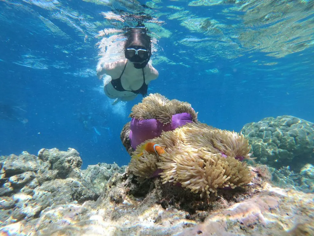 Red Sea Wonders Cruise at Ras Mohamed and White Island