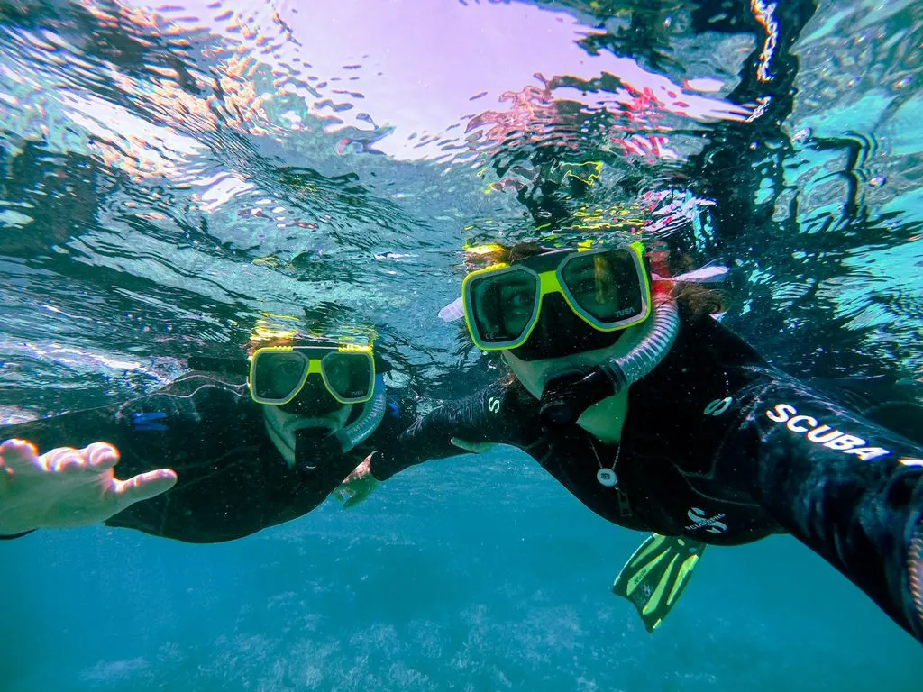 Sataya Dolphin Reef Snorkeling Trip in Marsa Alam