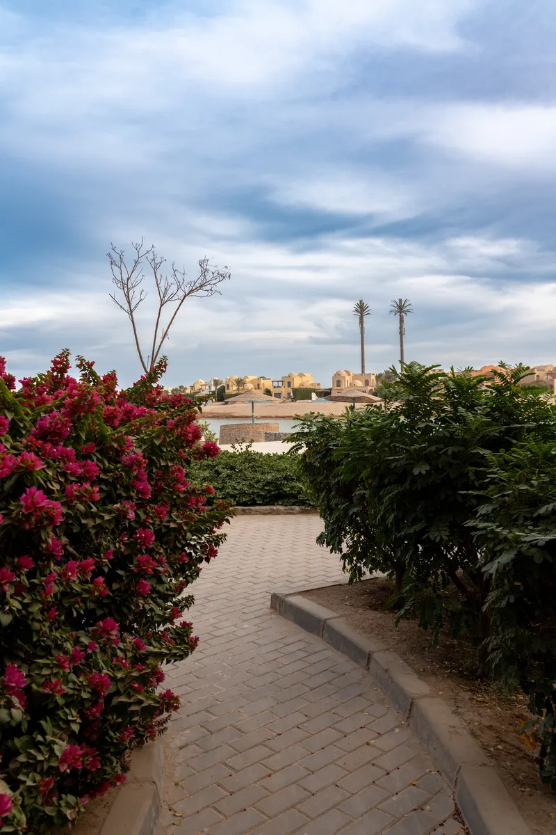 1BR CanalView Sabina El Gouna — photo 3