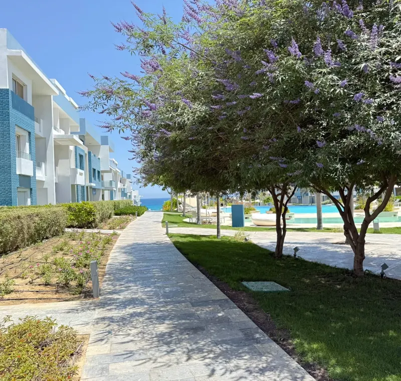 Luxury 2BR · Fouka Bay · Fouka Bay, photo 2