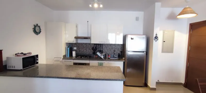 D02-S03 Beachtown 2 Bedroom Apartment, photo 4