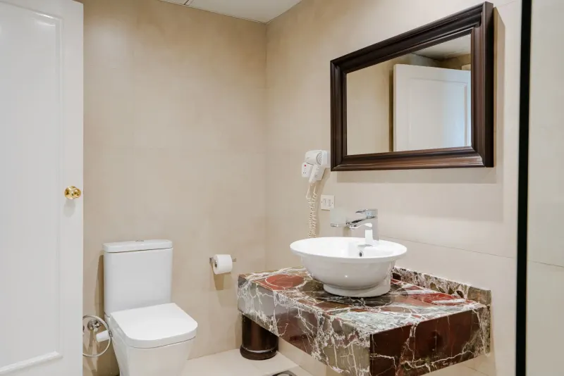 Executive Room Twin Bed City view Balcony — photo 3