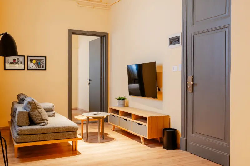 One Bedroom Apartment — photo 4