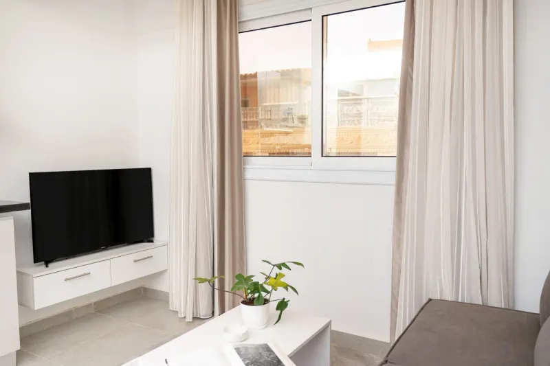 One Bedroom Apartment, photo 4