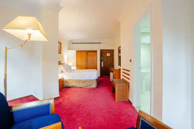 Standard Room King Bed City View — photo 6