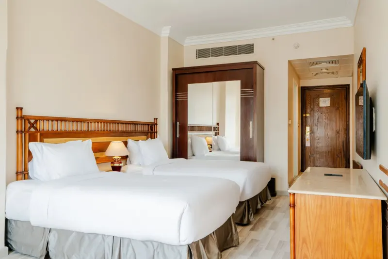 Standard Room Twin Bed Nile View — photo 5