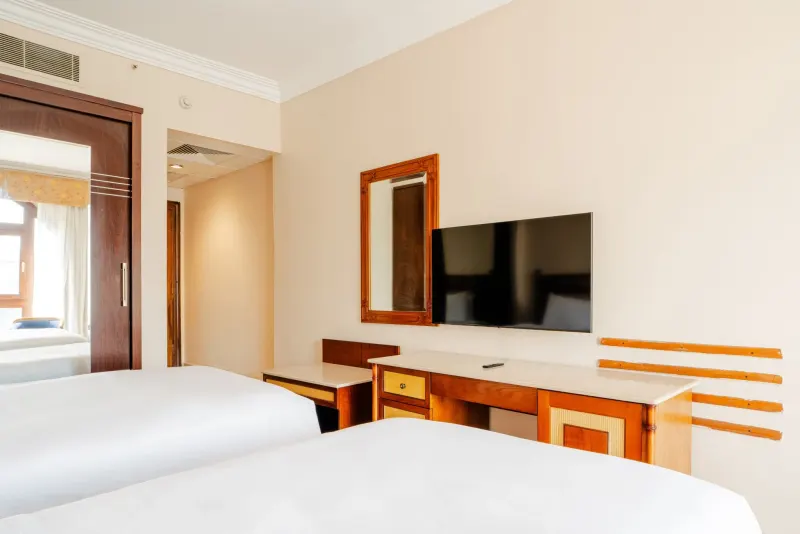 Standard Room Twin Bed Nile View — photo 6