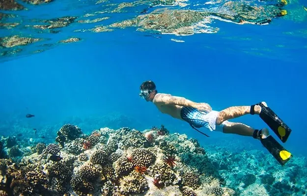 Red Sea Boat Cruise — 2