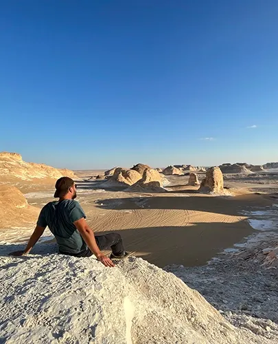 Perfect Blend of Adventure