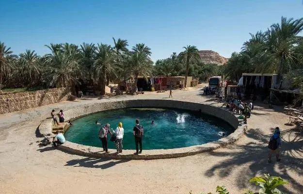 El Alamein World War II Military Museum & Siwa Oasis — 1