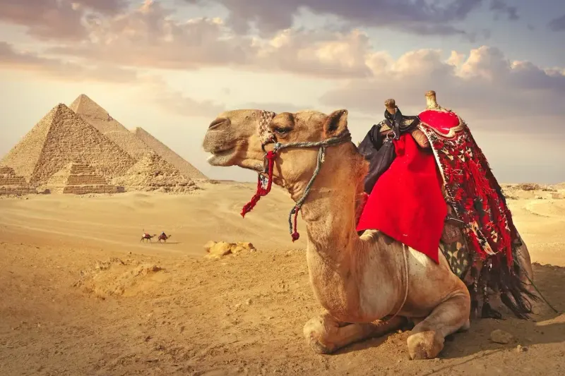 Cairo and Alexandria 3 Full Days Tour — 3