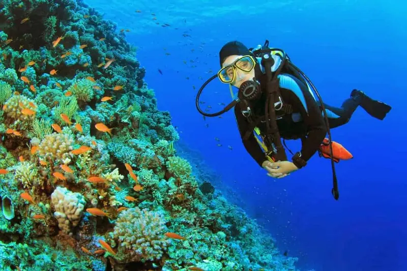 Diving Sessions and Safari trips in Dahab — 12