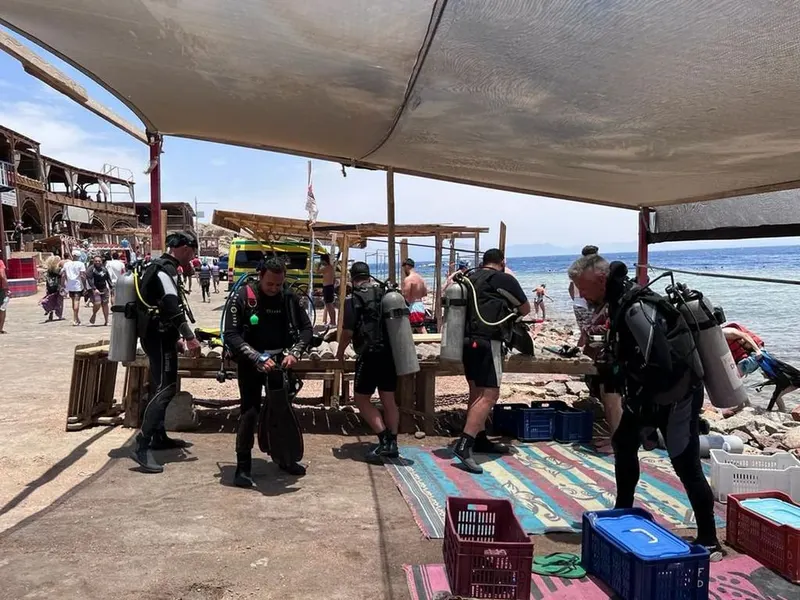 Diving Sessions and Safari trips in Dahab — 3