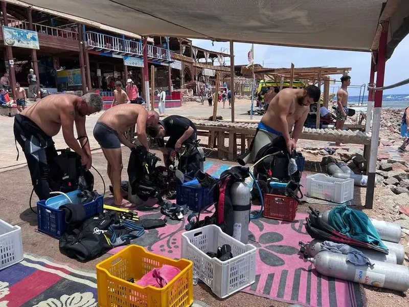Diving Sessions and Safari trips in Dahab — 4