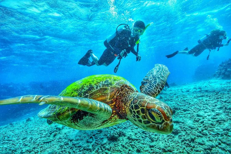 Diving Sessions and Safari trips in Dahab — 7