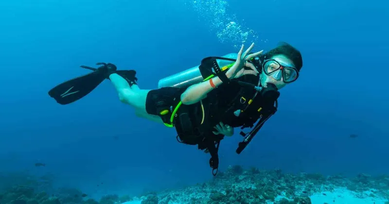 Diving Sessions and Safari trips in Dahab — 8