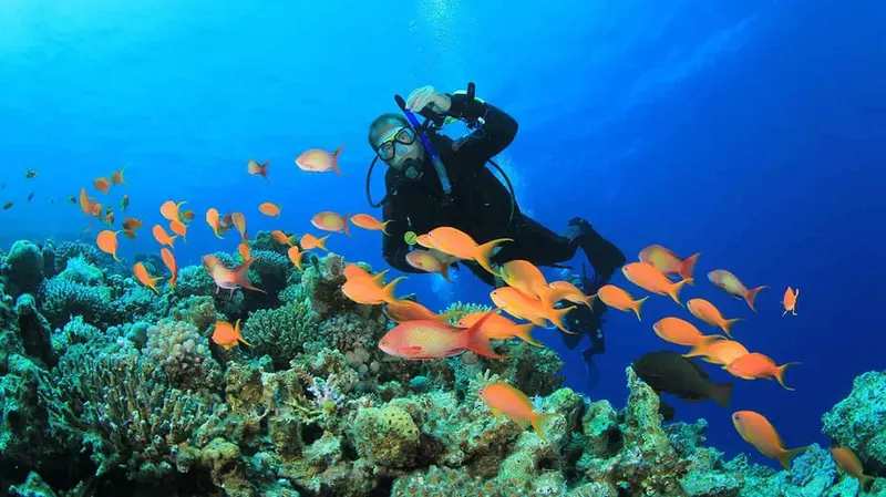 Diving Sessions and Safari trips in Dahab — 9