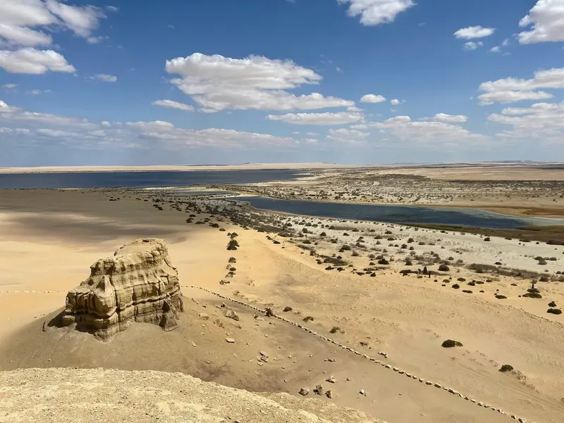 Fayoum Oasis Overday Tour from cairo — 2