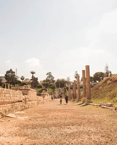 Kom El Shoqafa