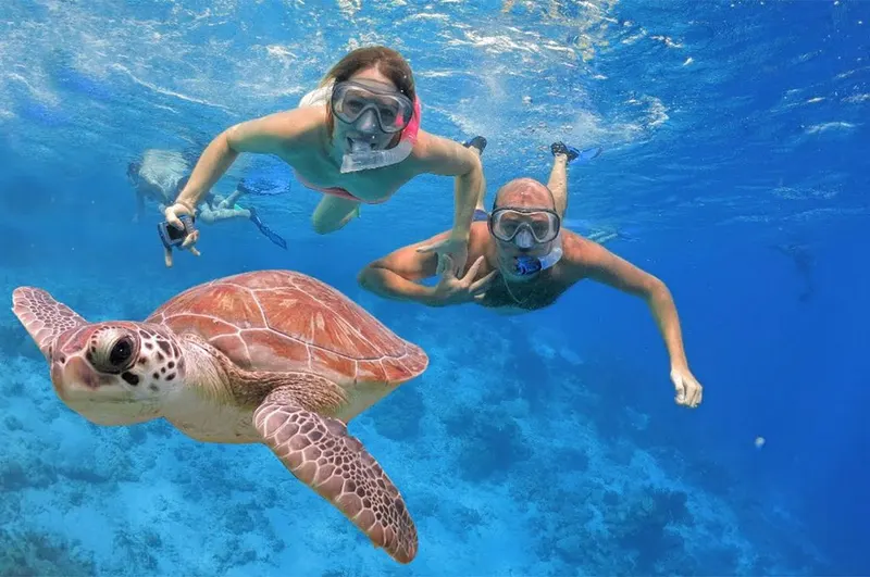 Hurghada Snorkeling Full Day Trip on Budget — 3