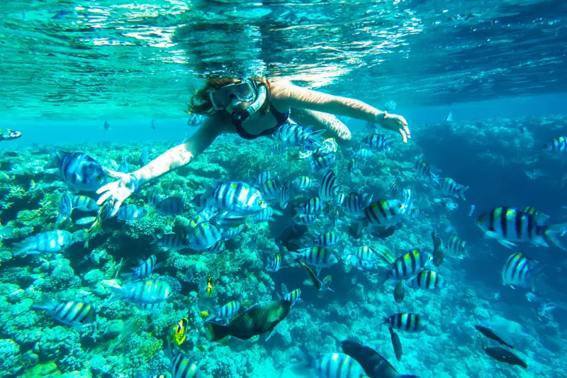 Hurghada Snorkeling Full Day Trip on Budget — 7