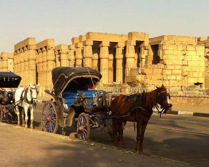 Luxor City Tour with Horse Carriage — 2