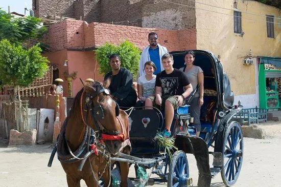 Luxor City Tour with Horse Carriage — 4