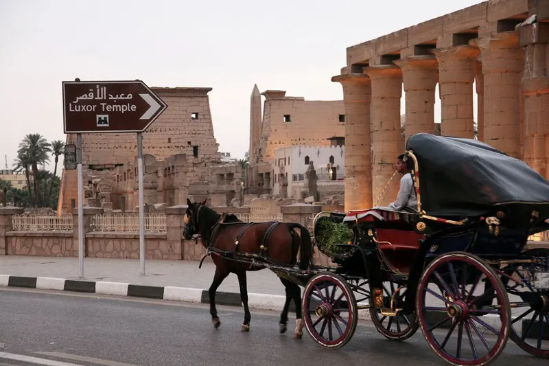 Luxor City Tour with Horse Carriage — 5