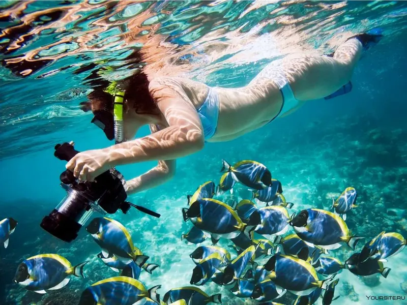 Private Snorkeling trip from Luxor to the Red Sea — 3