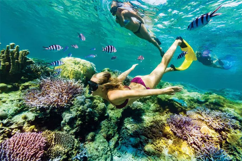 Private Snorkeling trip from Luxor to the Red Sea — 7