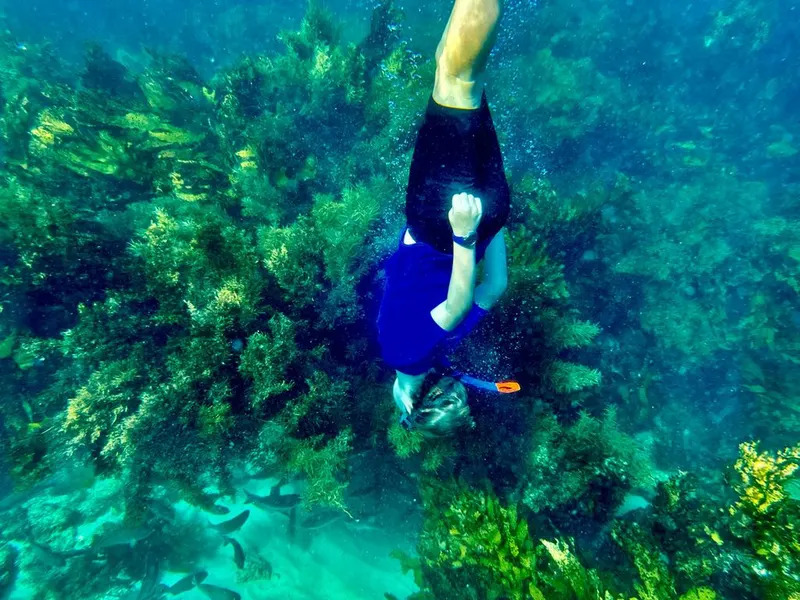 Sataya Dolphin Reef Snorkeling Trip in Marsa Alam — 3