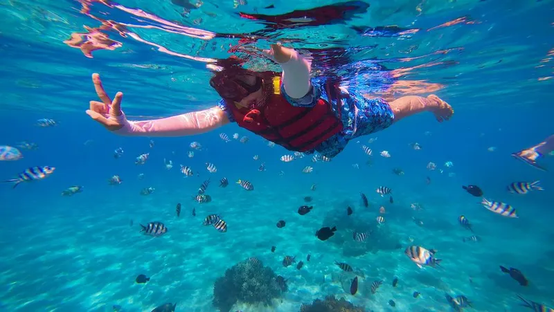 Sataya Dolphin Reef Snorkeling Trip in Marsa Alam — 4