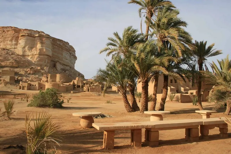 Sharing Trip To Baharyia Oasis Overnight From Cairo — 3