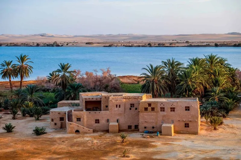 Sharing Trip To Baharyia Oasis Overnight From Cairo — 7