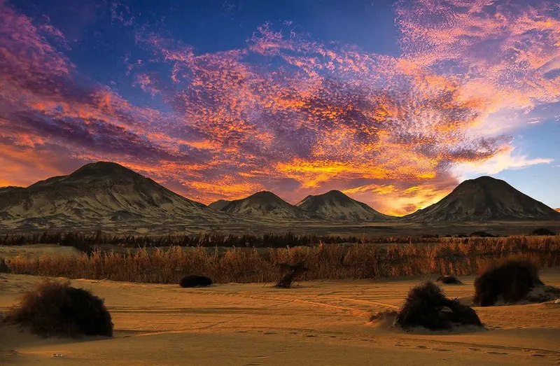 Sharing Trip To Baharyia Oasis Overnight From Cairo — 8