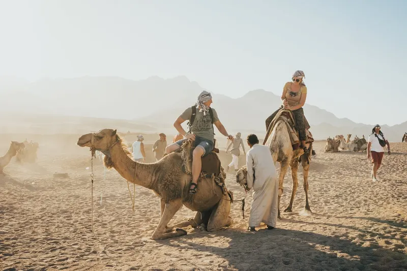 Sharm camel ride
