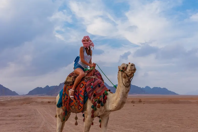 Authentic Bedouin Culture
