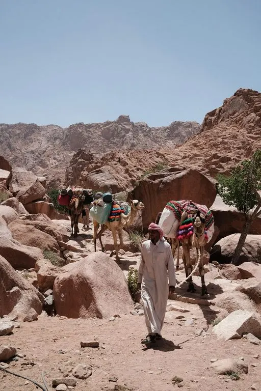 Super Safari: Bedouin Village, Quad, Jeep, Camel & BBQ — 3