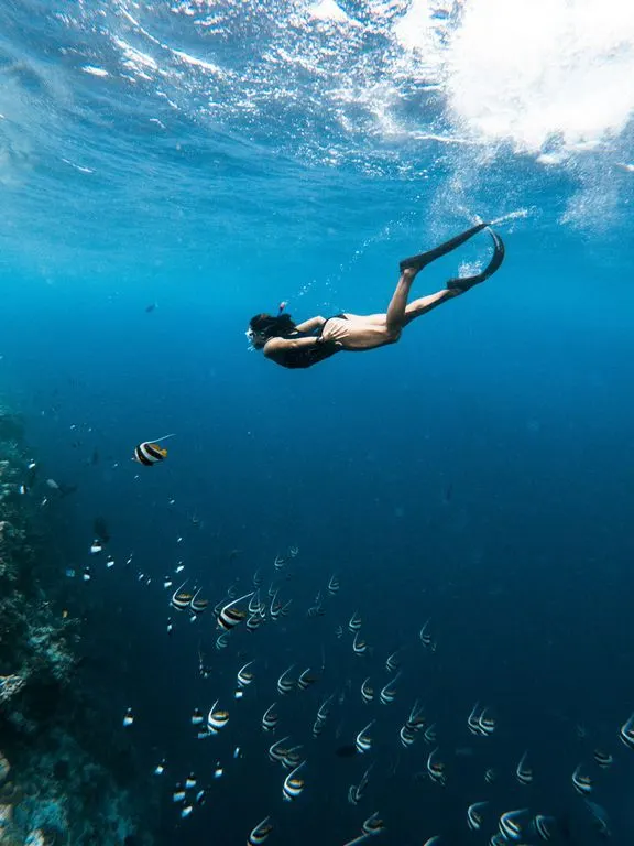 The Blue Trip: Marsa Imbarak Snorkeling Adventure — 2