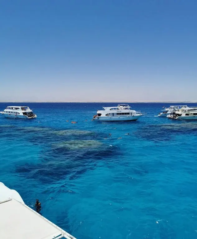Turtles Bay Elite VIP Snorkeling Experience