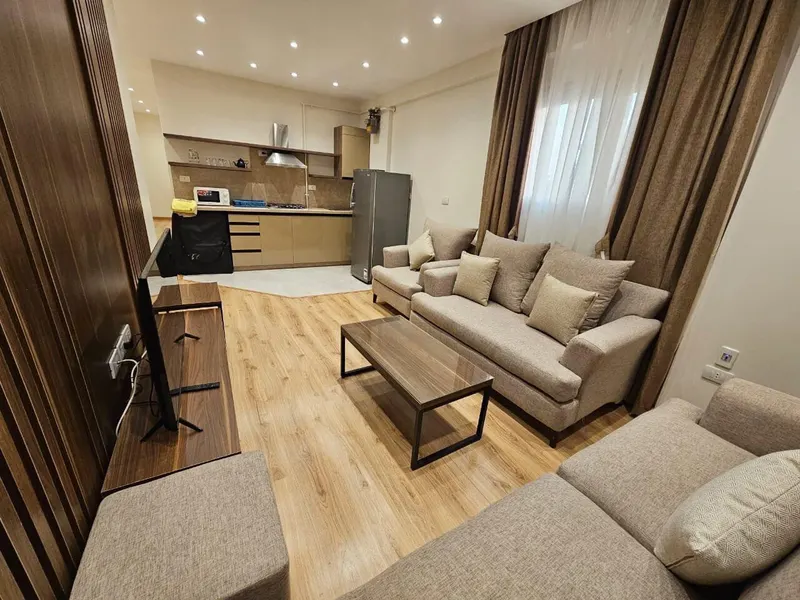 Nasr City 2-Bedroom with Calligraphy Art and Wood-Slat Wall, photo 2