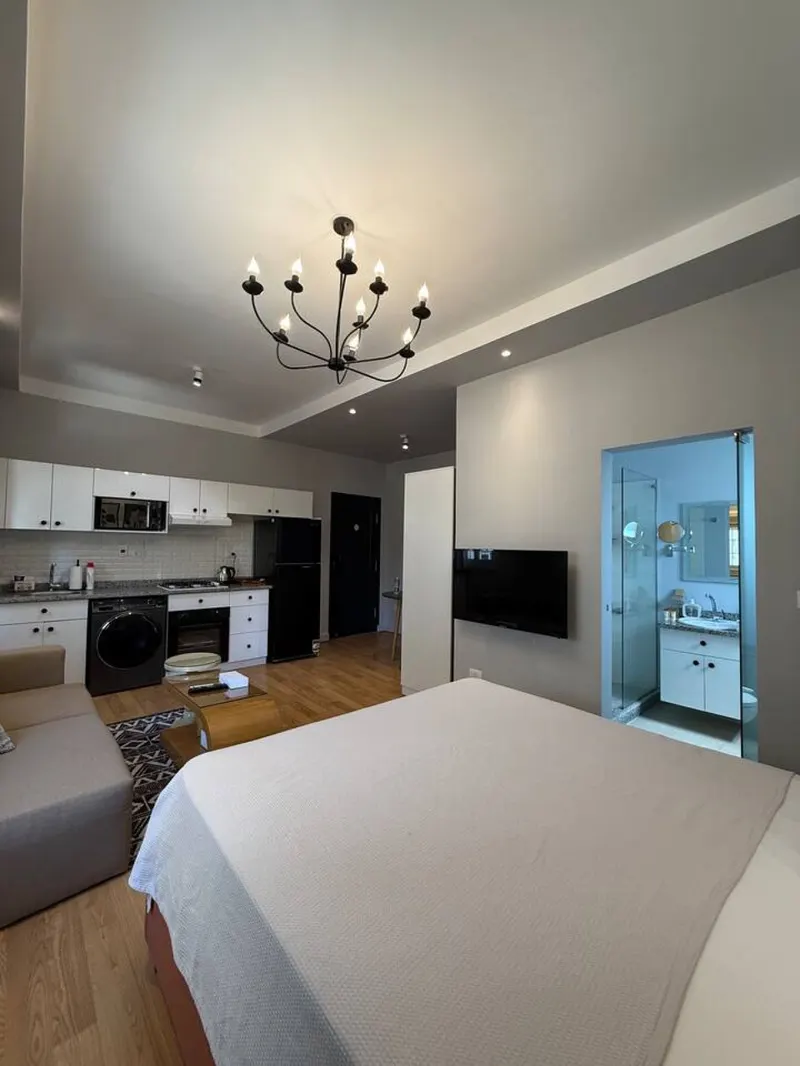 Gallery-Style Studio with Gym and Terrace Access, photo 7