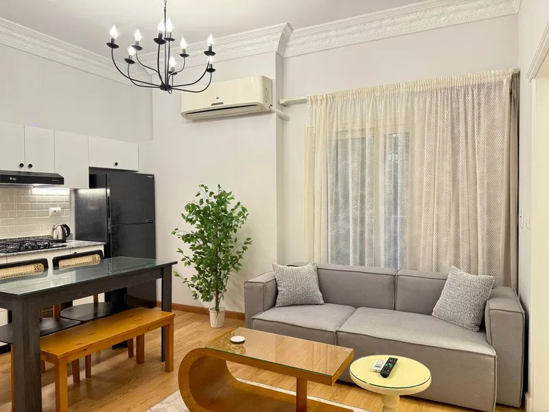 One-Bedroom with Kitchen, Desk and Shared Terrace, photo 4