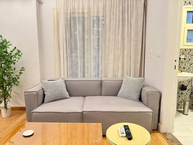 One-Bedroom with Kitchen, Desk and Shared Terrace, photo 8