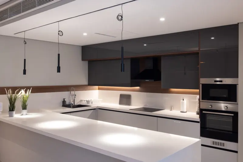Fully Furnished/Serviced 3 Bed Apart TF @ Silver Palm — photo 3