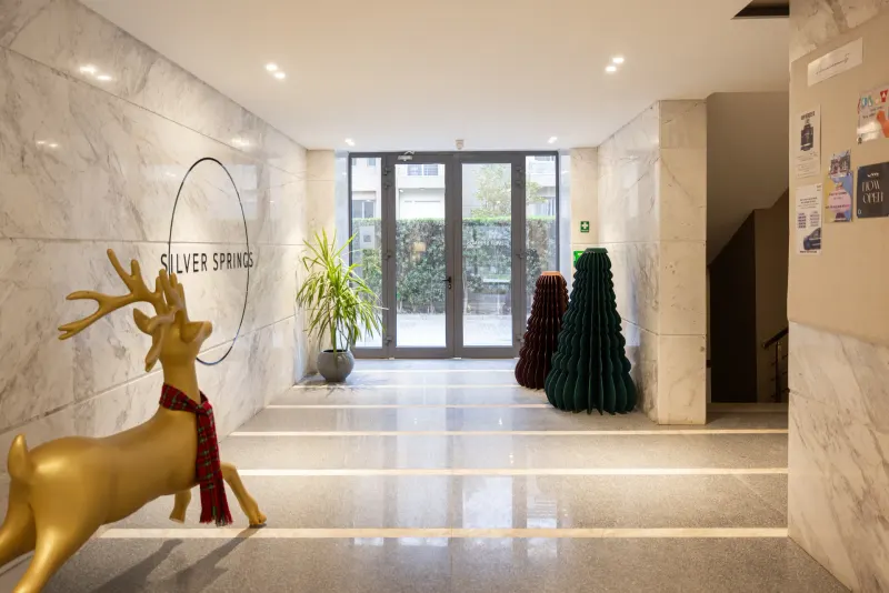 Scandinavian -2 Bed- SF @ Silver Springs Residence, photo 8