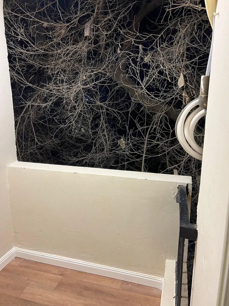Velvet-Headboard Twin Studio (ES10) — Studio, Downtown, photo 8