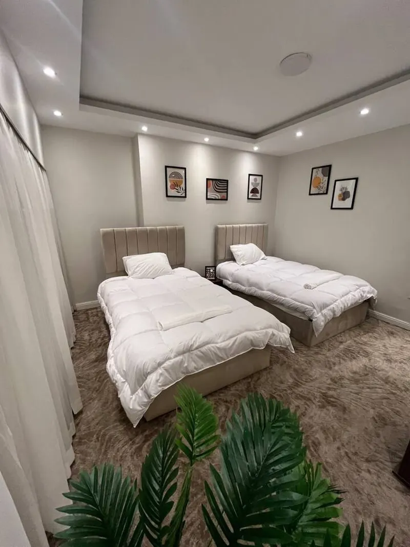 Soft-Carpet Family Home — 3-Bedroom, Zamalek, photo 2